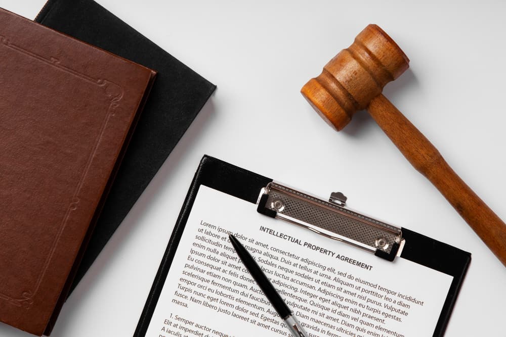 Common Mistakes in DMCA Takedown Requests Common Mistakes in DMCA Takedown Requests